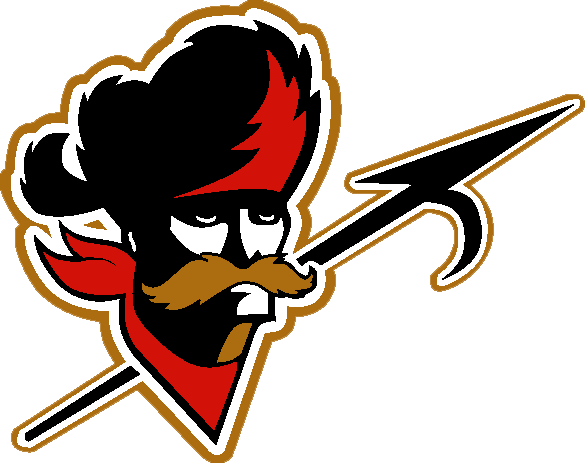 Ottawa Rough Riders iron ons
